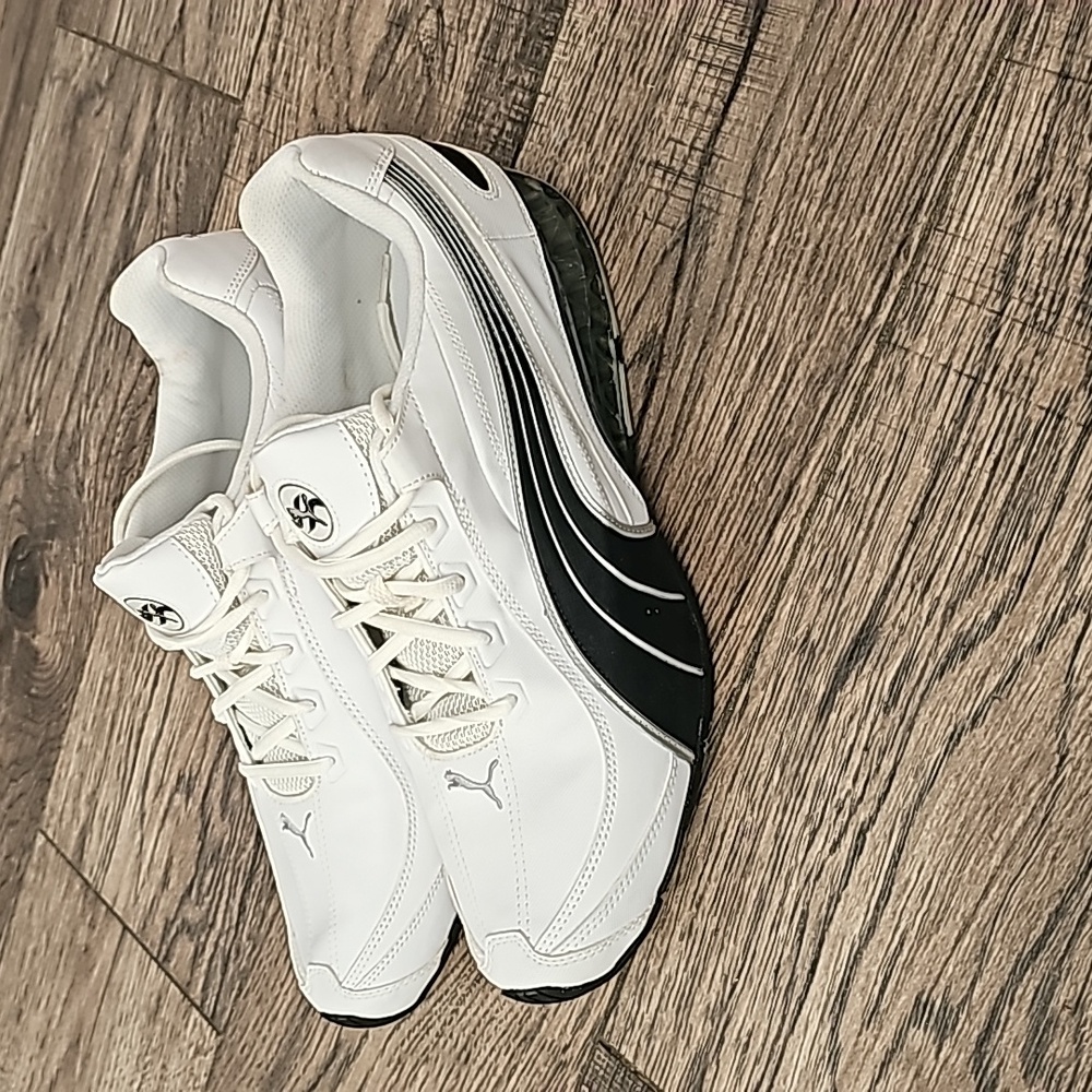 Puma Cerae ll